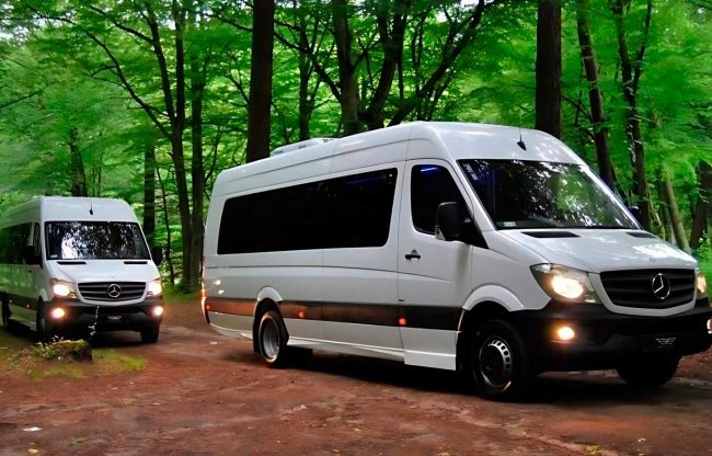 Diseno-sin-titulo-2024-10-28T152631